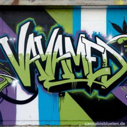 Vayamed