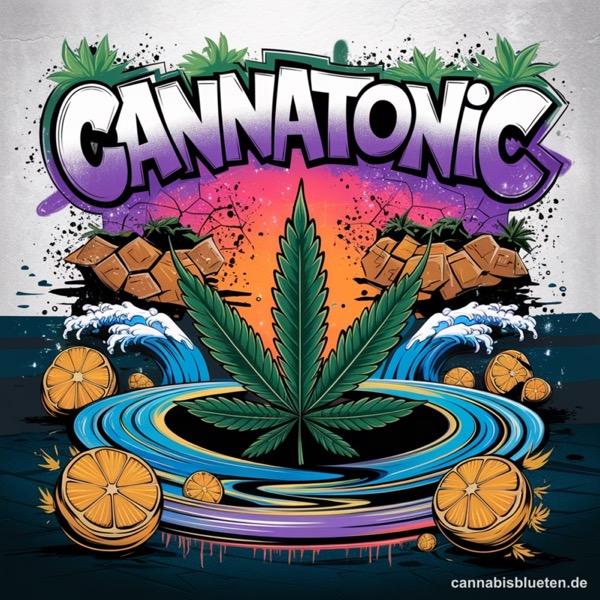 IMC Cannabisextrakt 10/10
