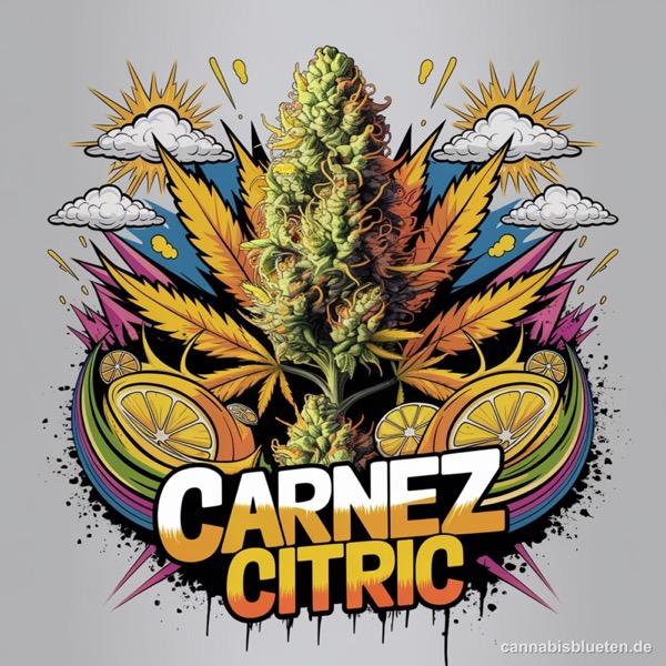 Carnez Citric
