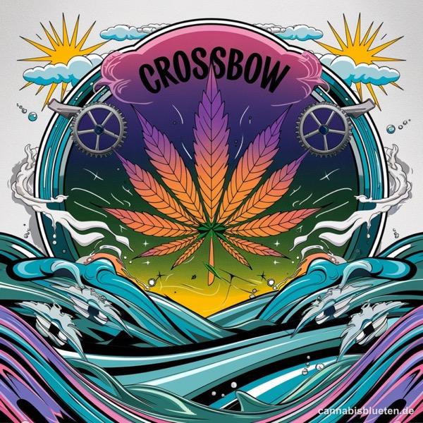 Crossbow