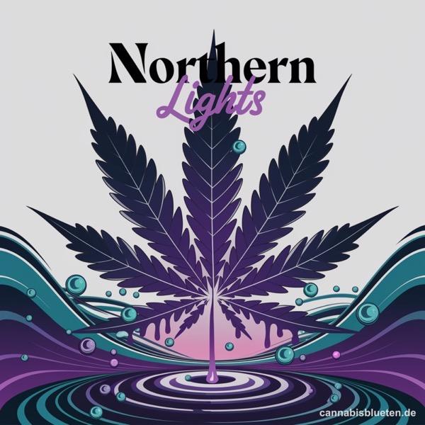Northern Lights