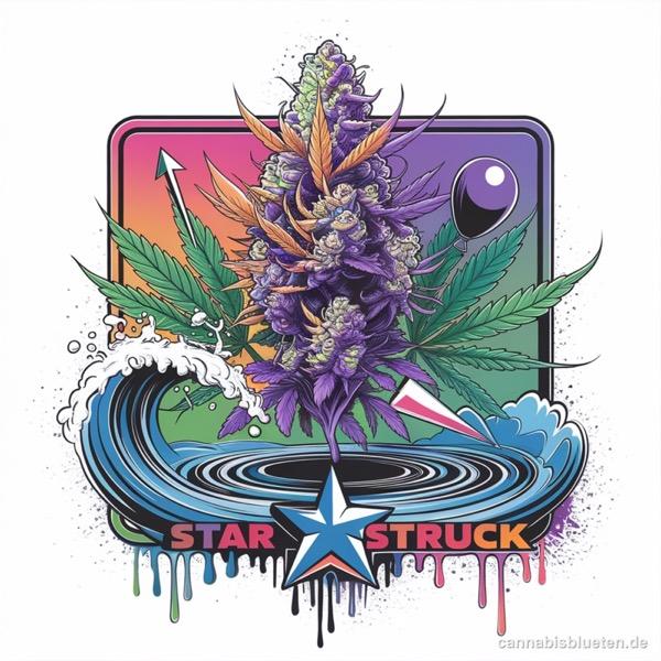 420 Evolution 27/1 CA STR